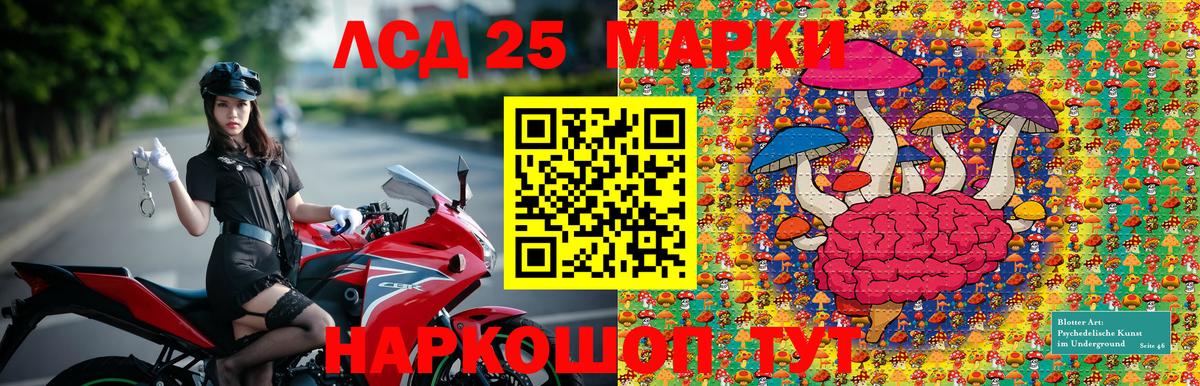 Обь  Наркотические марки 1500мкг  Наркотические марки 1500мкг  дарнет шоп  Вход с VPN 