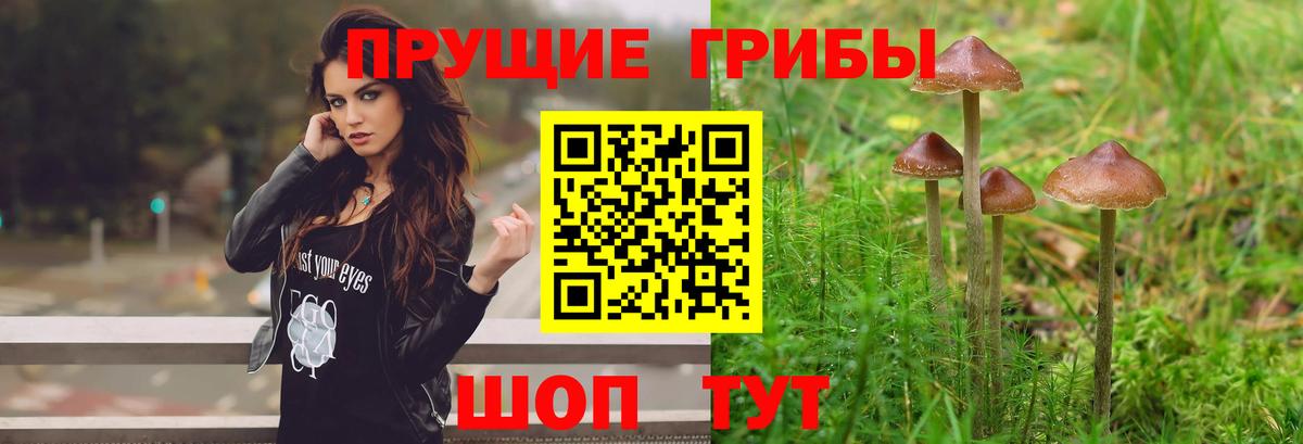 Псилоцибиновые грибы ЛСД  Псилоцибиновые грибы ЛСД  Обь  Вход с VPN 